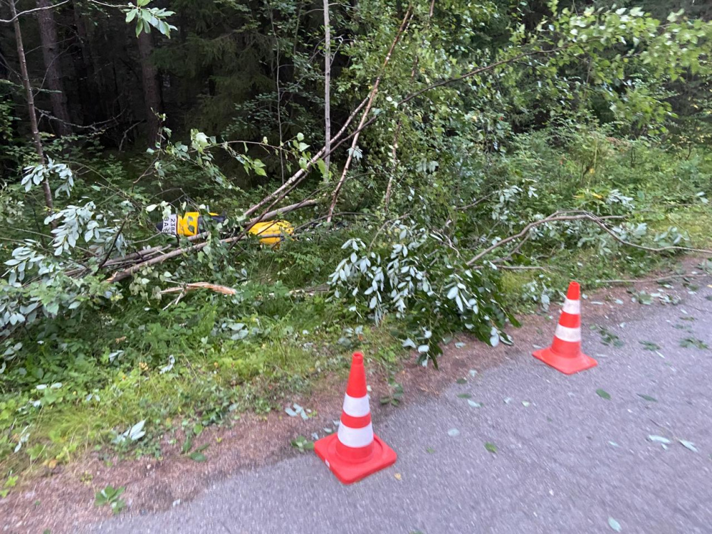 Авария с жертвами произошла в Свердловской области из-за превышения скорости | В Свердловской области водитель превысил скорость и съехал в кювет