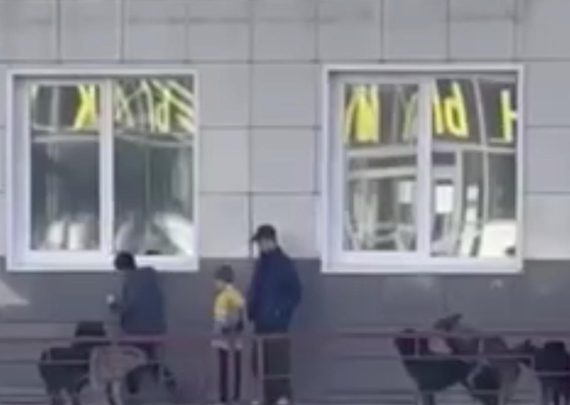 Агрессивные бродячие собаки угрожают жителям Нижнего Тагила Агрессивные бродячие собаки угрожают жителям Нижнего Тагила