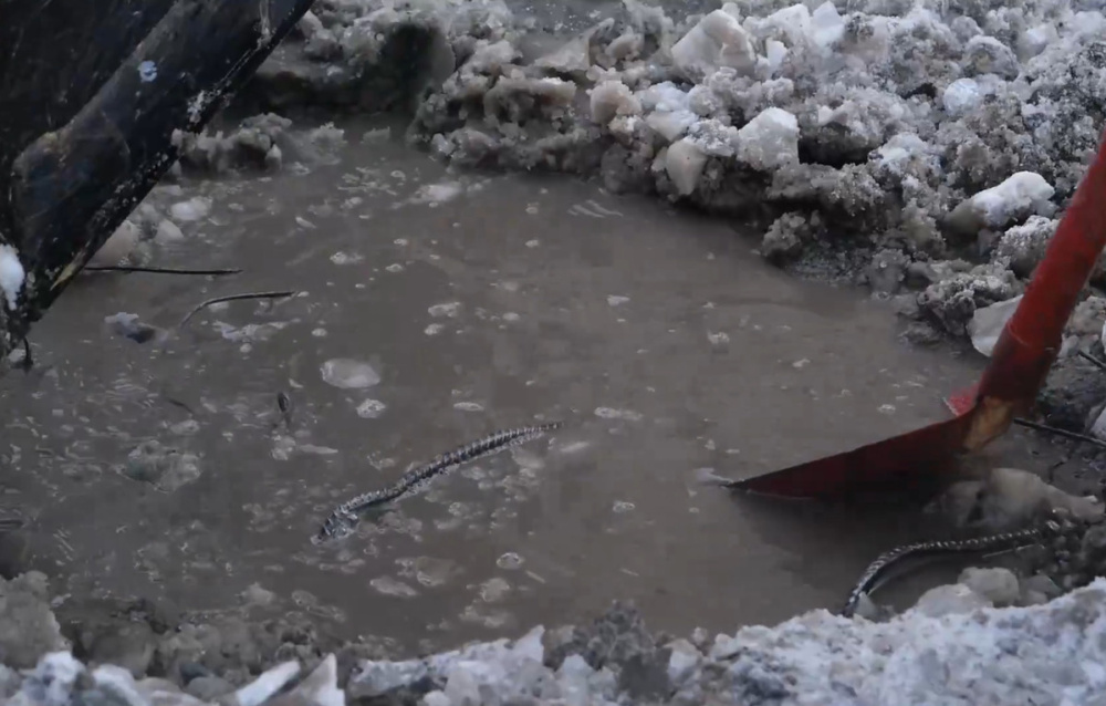 Тайна потопов в Нижнем Тагиле раскрыта: под домом на Дружинина обнаружили родник | В Нижнем Тагиле под жилым домом обнаружили родник