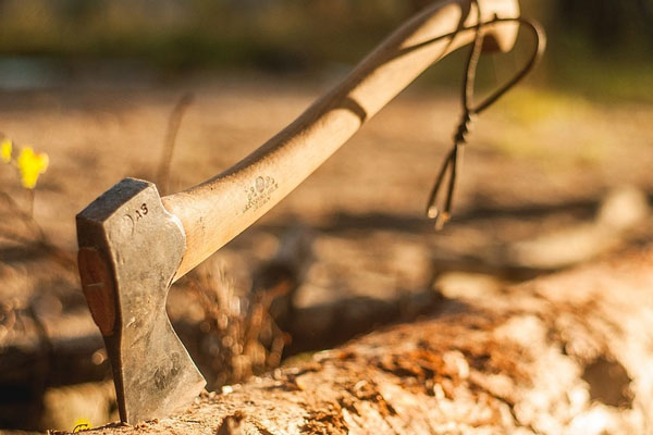 Жители Горноуральского округа пожаловались Путину на вырубку лесов под Нижним Тагилом | Уральцы жалуются на санитарную вырубку лесов, гибнут здоровые деревья Жители Горноуральского округа пожаловались Путину на вырубку лесов под Нижним Тагилом | Уральцы жалуются на санитарную вырубку лесов, гибнут здоровые деревья
