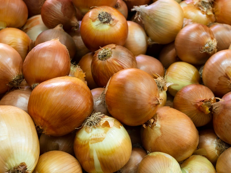 Лунный календарь лука 2026: чтобы рос лук, а не ваша паника – истории, таблицы и никакого фанатизма Лунный календарь лука 2026: чтобы рос лук, а не ваша паника – истории, таблицы и никакого фанатизма