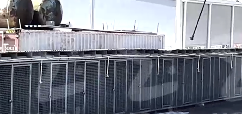 Сотни собак бесследно исчезли в Нижнем Тагиле | Сотни собак исчезли в Нижнем Тагиле Сотни собак бесследно исчезли в Нижнем Тагиле | Сотни собак исчезли в Нижнем Тагиле