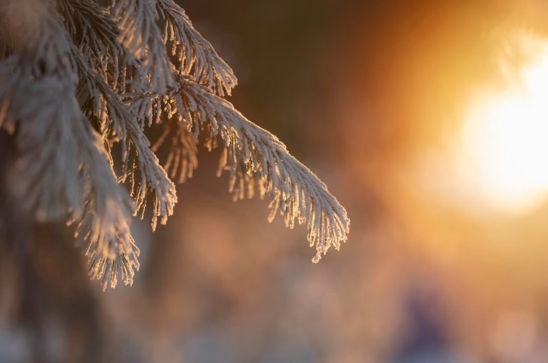 В Нижнем Тагиле ожидается снег и теплая погода | В Свердловской области снова начнется потепление: возможен небольшой снег В Нижнем Тагиле ожидается снег и теплая погода | В Свердловской области снова начнется потепление: возможен небольшой снег