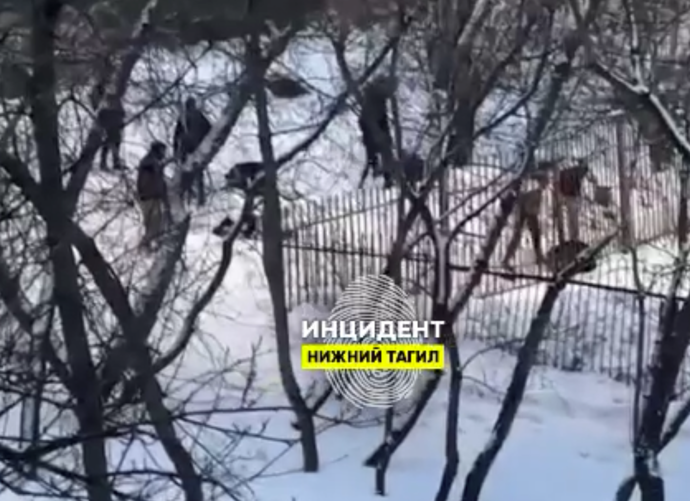 В Нижнем Тагиле подростки вооружены до зубов, устроили жестокие драки