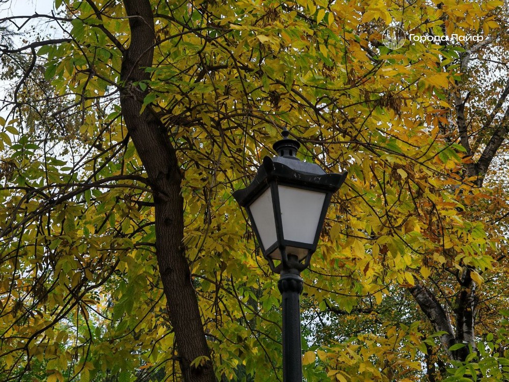 23 октября — особый день: приметы, запреты и церковные традиции | 23 октября — день Евлампия Зимоуказателя 23 октября — особый день: приметы, запреты и церковные традиции | 23 октября — день Евлампия Зимоуказателя