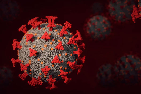 В Нижнем Тагиле за сутки зарегистрировано 35 новых случаев COVID-19