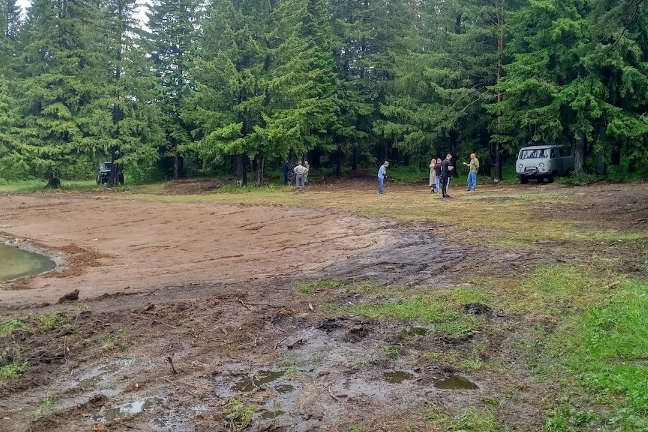 Вырубили деревья, чтобы обустроить пляж: под Нижним Тагилом уничтожили участок леса | Под Нижним Тагилом спилили деревья для обустройства частного пляжа