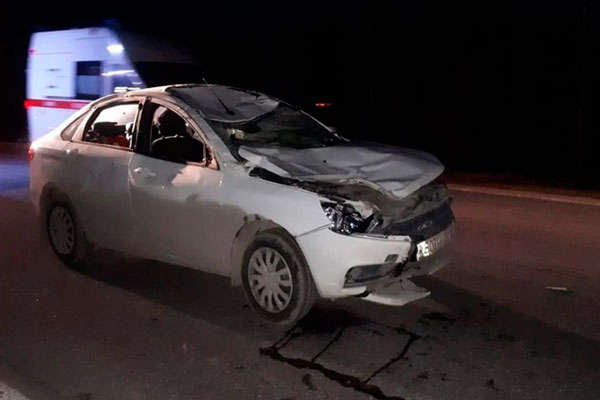 На трассе под Нижним Тагилом водитель легковушки сбил лося