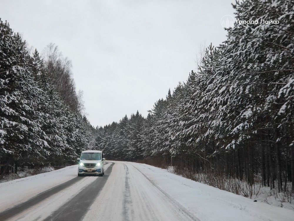 Циклоны, метели и перепады температур: что ждёт Средний Урал | Уральский гидрометцентр предупредил о снегопадах и метелях