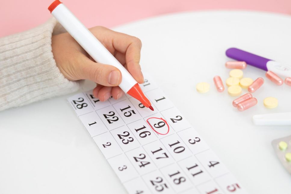 Появилась программа ко Дню города Нижнего Тагила  | В Нижнем Тагиле пройдет празднование 302-летия города