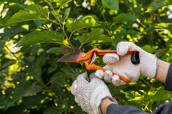 Корнилов день 26 сентября: народные приметы, традиции и строгие запреты | Что можно и нельзя делать в Корнилов день 26 сентября