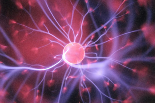 ������ �� ����� ���� � ����: 1 ���������� �� 3-5 ����� � ���� � � ����������������� �� 22:00