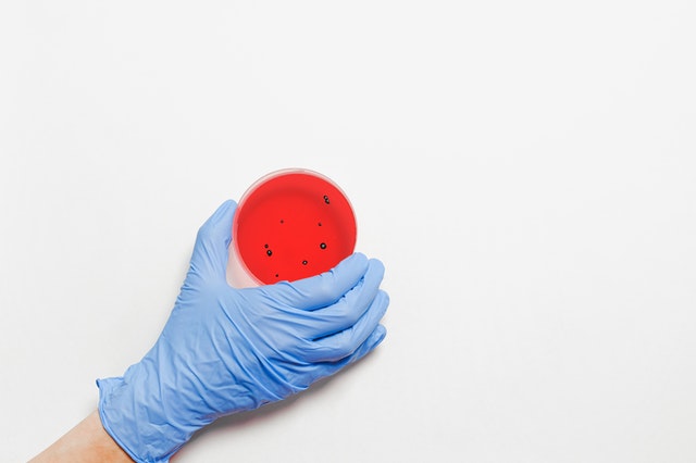 В Нижнем Тагиле за сутки зарегистрировано 1140 новых случаев COVID-19 В Нижнем Тагиле за сутки зарегистрировано 1140 новых случаев COVID-19