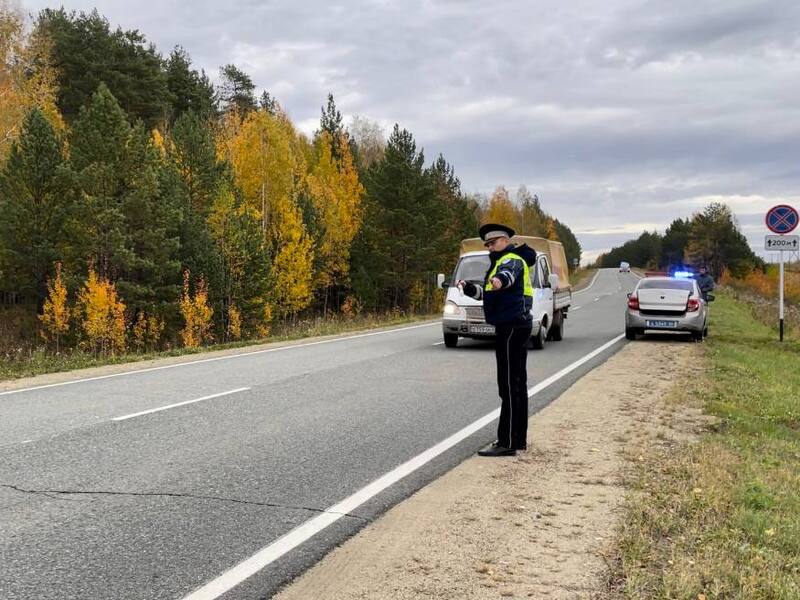 В Нижнетагильском районе неизвестный водитель насмерть сбил пешехода | Водитель сбил пешехода в Нижнетагильском районе и скрылся с места аварии В Нижнетагильском районе неизвестный водитель насмерть сбил пешехода | Водитель сбил пешехода в Нижнетагильском районе и скрылся с места аварии