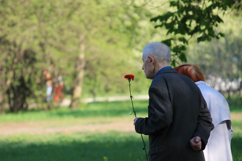 В Свердловской области выявили 82 неправомерных отказа в назначении социальных выплат  | На Урале выявили факты необоснованных отказов в назначении мер поддержки