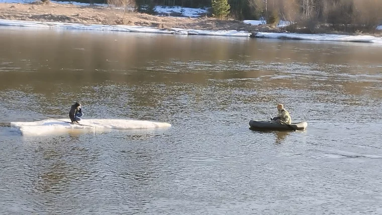 Трое подростков в возрасте 10-11 лет бросили своего друга на льдине посреди реки в Свердловской области Трое подростков в возрасте 10-11 лет бросили своего друга на льдине посреди реки в Свердловской области