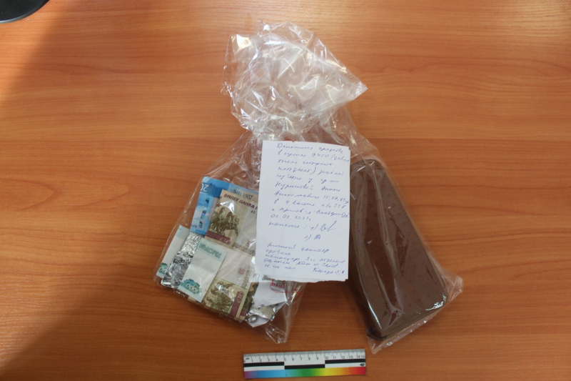 В Нижнем Тагиле задержали злоумышленницу, похитившую кошелек у пассажирки поезда