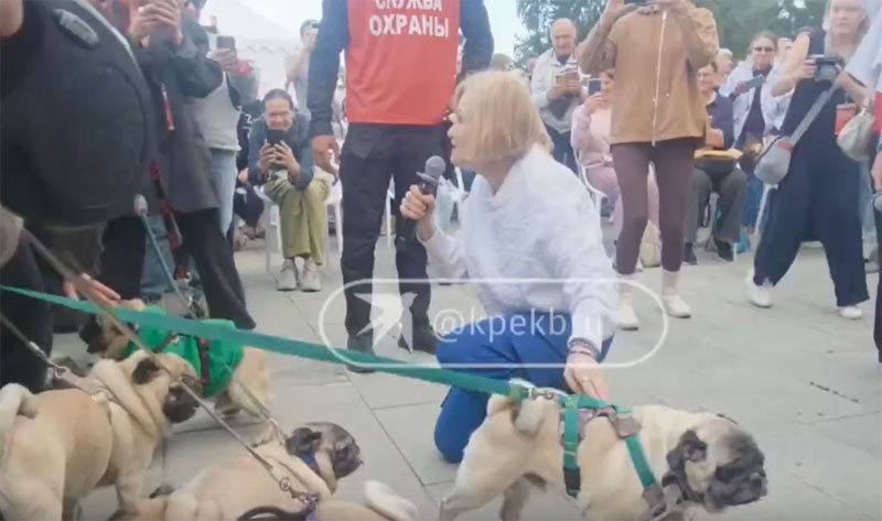 Дарья Донцова пришла в Екатеринбург: писательница шутила, делилась секретами и хвалила мопсов | Дарья Донцова встретилась с читателями на фестивале «Красная строка» в Екатеринбурге Дарья Донцова пришла в Екатеринбург: писательница шутила, делилась секретами и хвалила мопсов | Дарья Донцова встретилась с читателями на фестивале «Красная строка» в Екатеринбурге