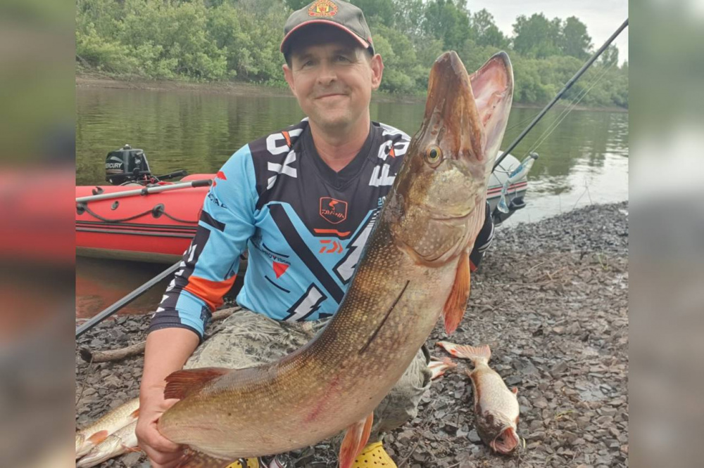 В Свердловской области рыбак поймал крупную щуку весом более семи килограммов | Уральский рыбак выловил более десяти щук от одного до семи килограммов В Свердловской области рыбак поймал крупную щуку весом более семи килограммов | Уральский рыбак выловил более десяти щук от одного до семи килограммов