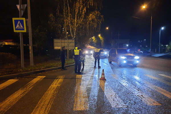 В Нижнем Тагиле водитель ГАЗ-3310 сбил женщин на пешеходном переходе