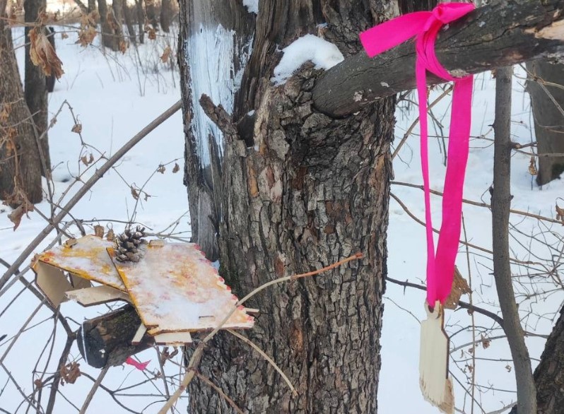 Вандалы разгромили кормушки для животных во Фруктовом саду Нижнего Тагила | В Нижнем Тагиле вандалы разрушили кормушки для животных