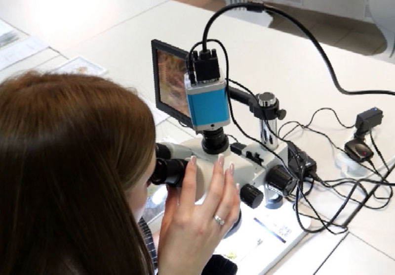 Они нашли красоту в мхах и лишайниках: как две школьницы из Тагила стали лауреатками губернаторской премии | Школьницы из Нижнего Тагила получили губернаторскую премию 