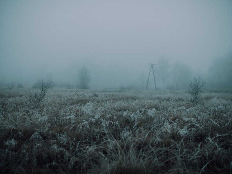 Синоптики предупреждают о заморозках в Свердловской области Синоптики предупреждают о заморозках в Свердловской области