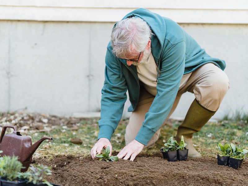 Дачникам подсказали способы побороть хрен
