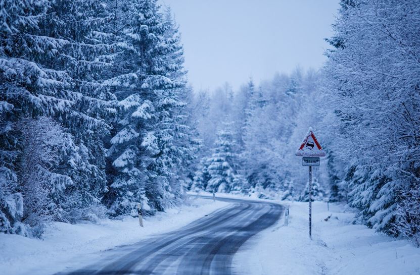 Тагильчан удивила краснокнижная птица