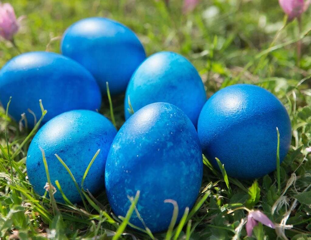 Все привыкли к луковой шелухе, а тут — космический синий: 3 часа в капусте — и яйца как с другой планеты Все привыкли к луковой шелухе, а тут — космический синий: 3 часа в капусте — и яйца как с другой планеты