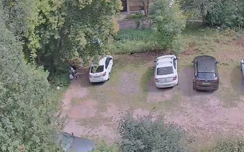В Нижнем Тагиле ребёнок устроил свалку во дворе: жители нашли виновника на камере | Жители Нижнего Тагила через камеры вычислили ребёнка, выбрасывающего мусор мимо контейнеров