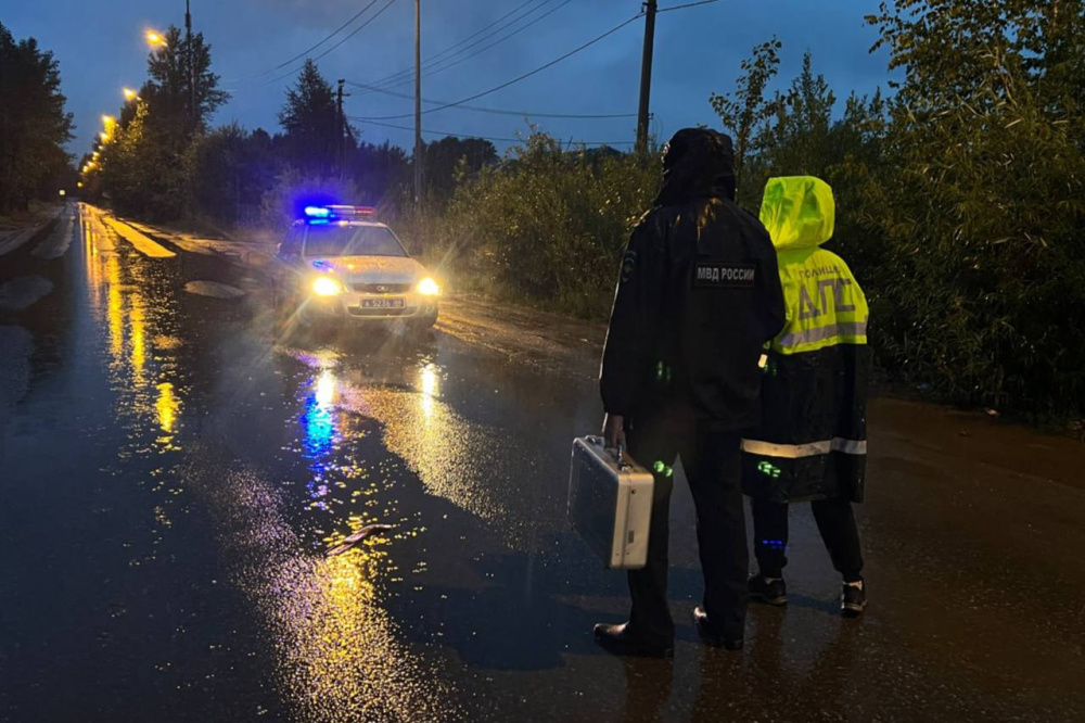 «Захлебывался кровью»: что известно о страшном ДТП в Нижнем Тагиле, в котором пешехода бросили на дороге | На Урале водитель сбежал с места ДТП и оставил сбитого пешехода в крови «Захлебывался кровью»: что известно о страшном ДТП в Нижнем Тагиле, в котором пешехода бросили на дороге | На Урале водитель сбежал с места ДТП и оставил сбитого пешехода в крови