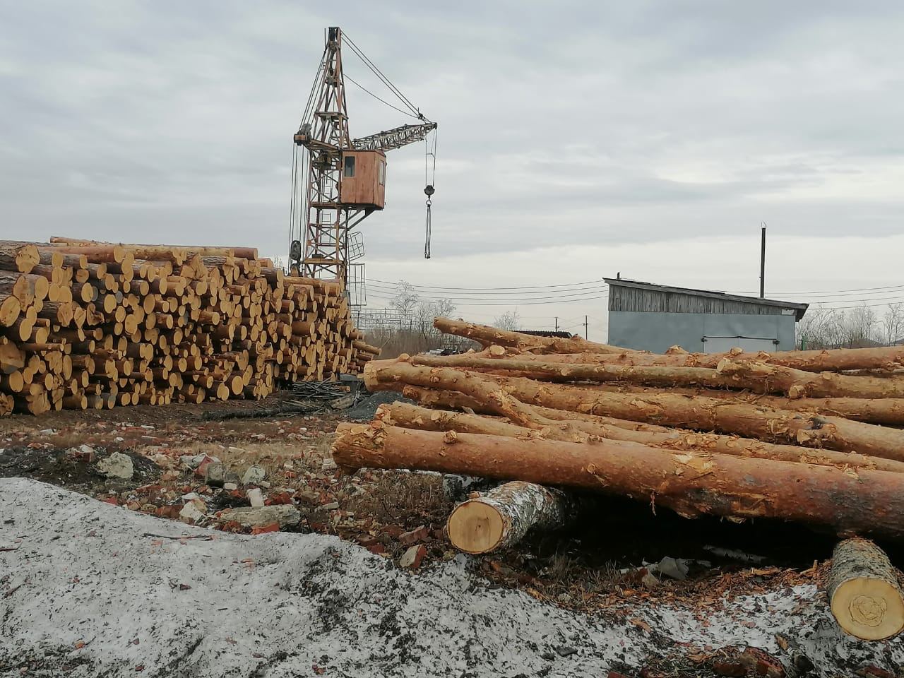 Обследования лесоперерабатывающих предприятий Свердловской области стартовали по поручению губернатора Евгения Куйвашева  | На Урале стартовали обследования лесоперерабатывающих предприятий