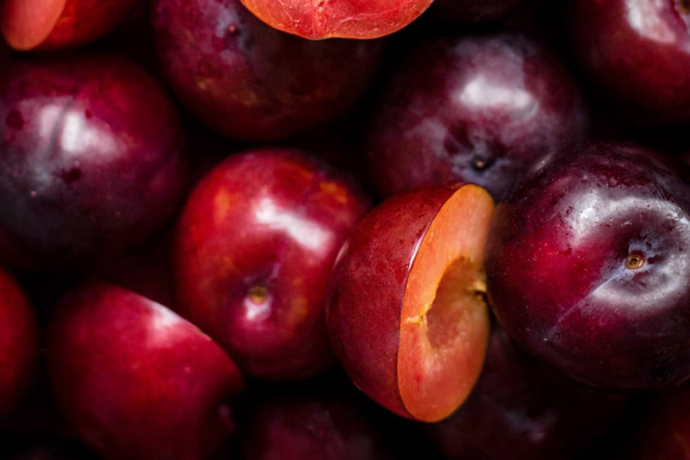 На прилавках Свердловских магазинов появится слива, зараженная щитовкой | На Урале к реализации разрешили зараженную вредителем сливу