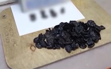 В тагильском СИЗО нашли гашиш в черносливе: наркотик пытались передать заключенному   | В Нижнем Тагиле в посылке для заключенного обнаружили наркотик в черносливе