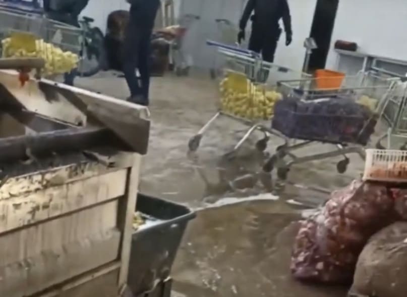 «Грязь, вонь, захламленные склады»: овощебазу в Нижнем Тагиле накрыли силовики | Силовики нагрянули с проверкой на овощебазы Нижнего Тагила