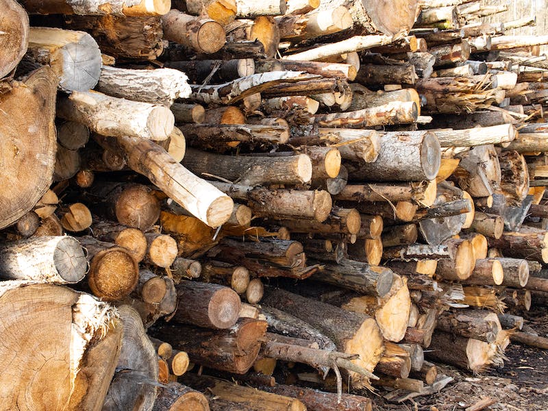 Трагедия на деревообрабатывающем предприятии на Урале: Сотрудника смертельно придавило бревном