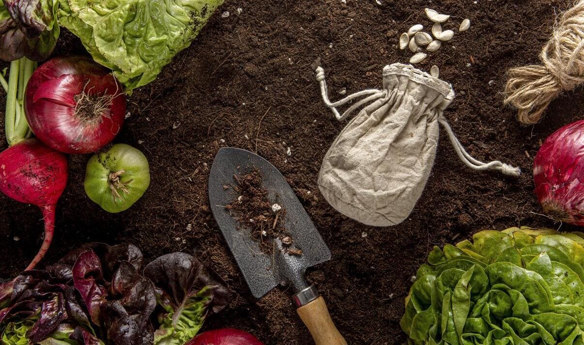 Лунный посевной календарь 2026 для садоводов и огородников: что и когда сажать на даче 