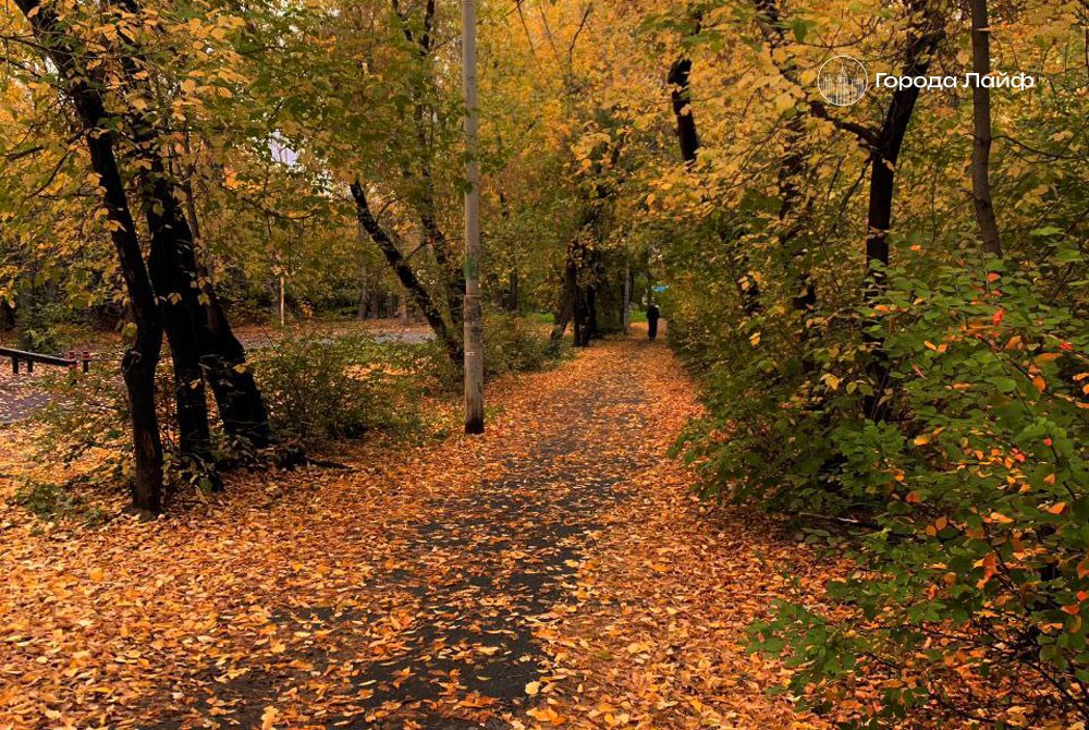 15 октября — Куприянов день: что нельзя делать и какие приметы сулят погоду на зиму | 15 октября — день святого Куприяна