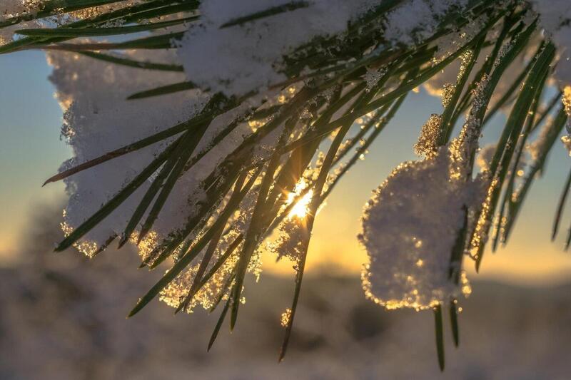 Средняя температура воздуха в Свердловской области ожидается выше климатической нормы | Синоптик Пулин: на Урале ожидаются осадки, облачность и потепление