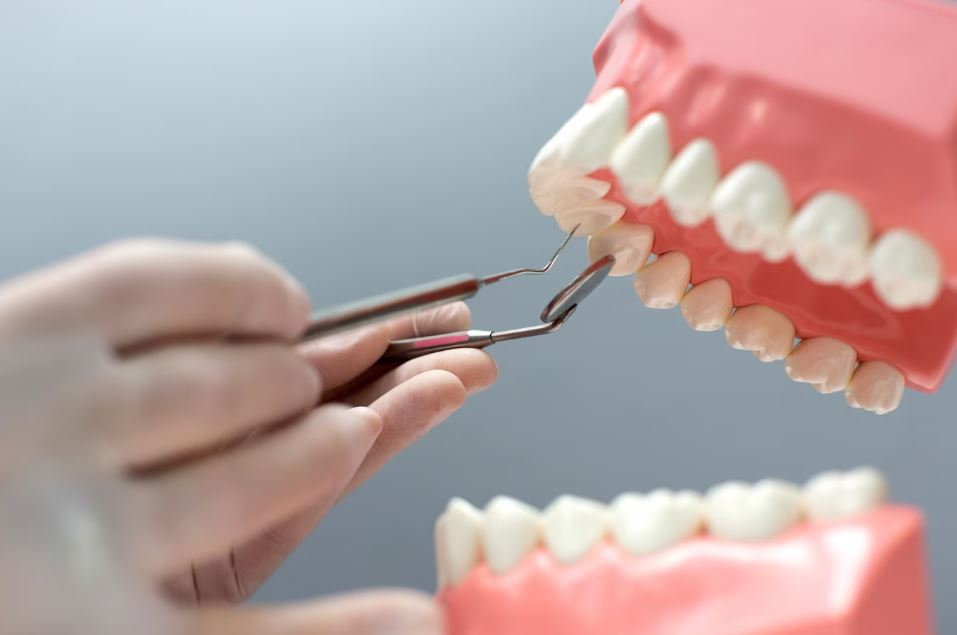 Тагильчанину вернули деньги за зубные протезы стоимостью более 80 тысяч рублей | Специалисты помогли вернуть уральцу деньги за зубные протезы