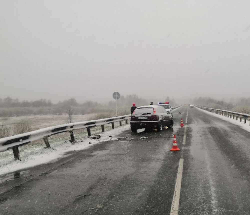 Свердловская Госавтоинспекция предупреждает водителей о появлении на дороге диких животных | Свердловская Госавтоинспекция предупреждает водителей о появлении на дороге диких животных