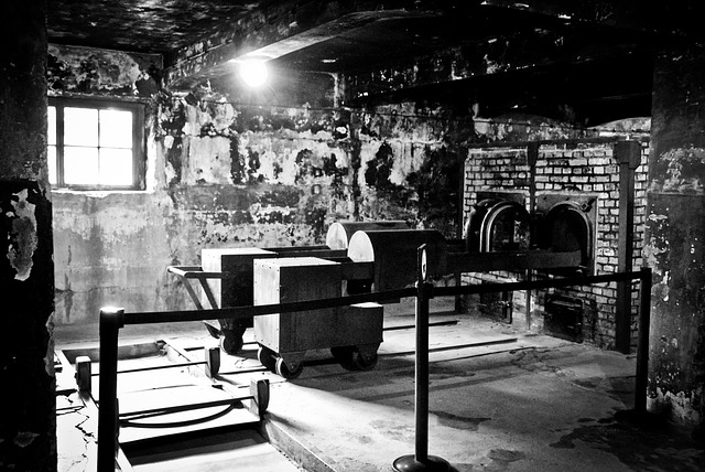 В Нижнем Тагиле разгорается протест из-за стройки крематория. Рядом школа и детский сад В Нижнем Тагиле разгорается протест из-за стройки крематория. Рядом школа и детский сад