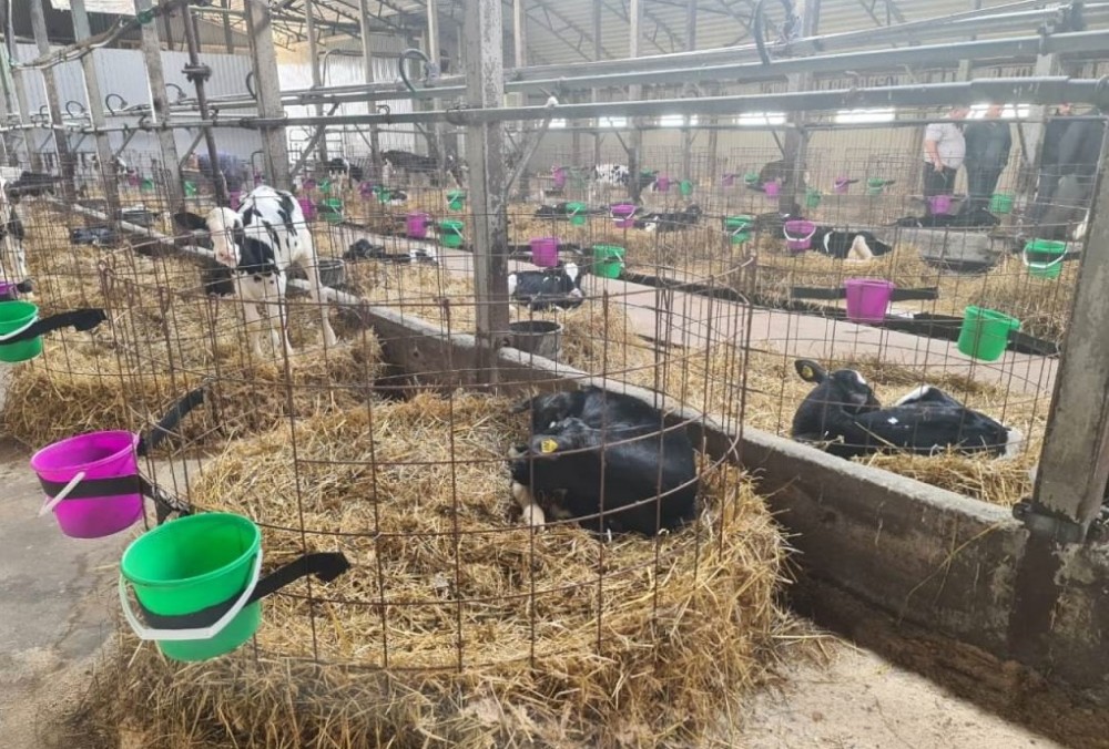 Новый агрокомплекс под Нижним Тагилом: инвестиции 2 млрд рублей — что известно о проекте | Под Нижним Тагилом построят агрокомплекс за 2 млрд рублей