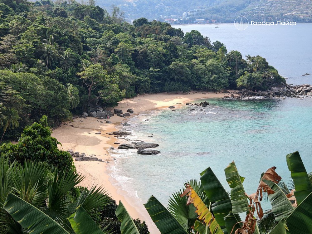 ���� �� ��� ����: ������ ���� ������� ������ ������� ��� ����� � ���������� ��� ������