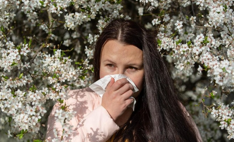 ���������, ��������: ��������� ������ ������� �� ������ � ����� ������� ����������� �����