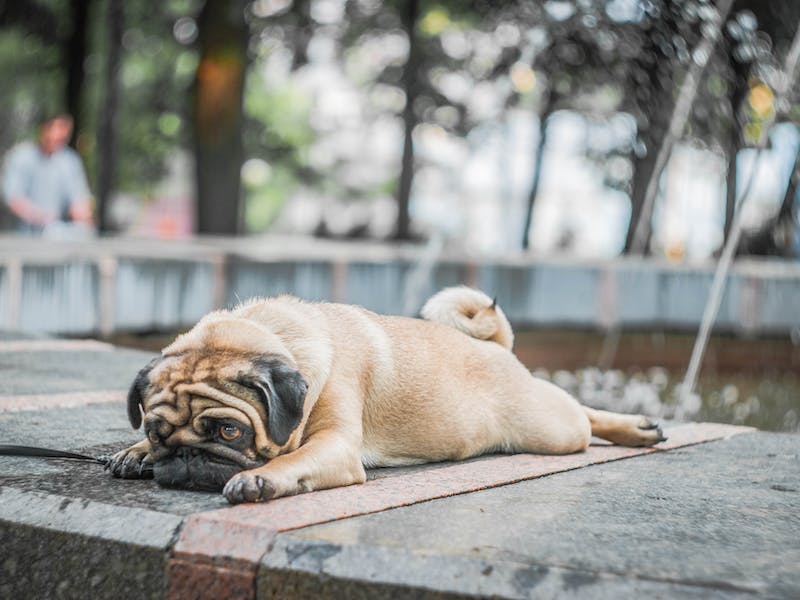 �������� ����� � ��������: ��� ������, ���� ������ �� �������� ������ ���� � ������� �� ����� � ������ ������ ������