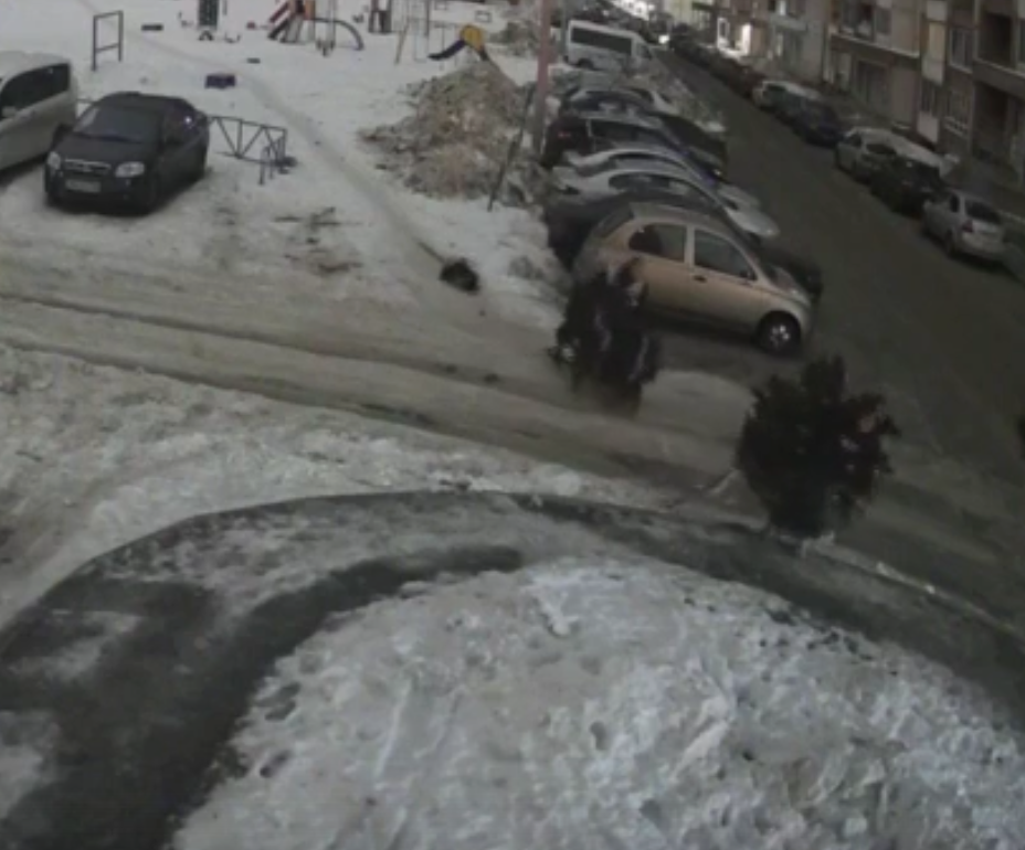 Две девушки украли новогоднюю ёлку посреди ночи в Нижнем Тагиле