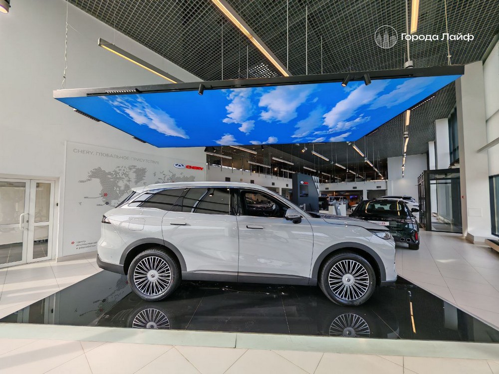 Путин одобрил продажу «красивых» номеров через Госуслуги: что ждёт автовладельцев | С 2026 года в России можно будет купить «красивый» номер на машину через Госуслуги